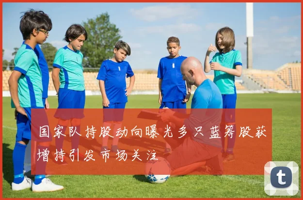 国家队持股动向曝光多只蓝筹股获增持引发市场关注