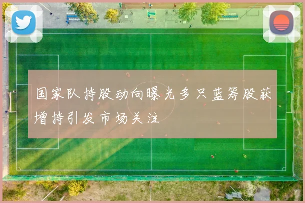 国家队持股动向曝光多只蓝筹股获增持引发市场关注