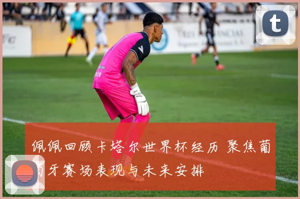 佩佩回顾卡塔尔世界杯经历 聚焦葡萄牙赛场表现与未来安排