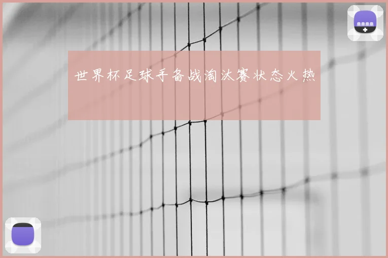 世界杯足球手备战淘汰赛状态火热